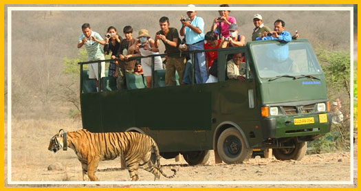 Dhikala Canter Safari