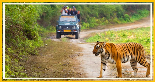 Jeep Safri Jim Corbett